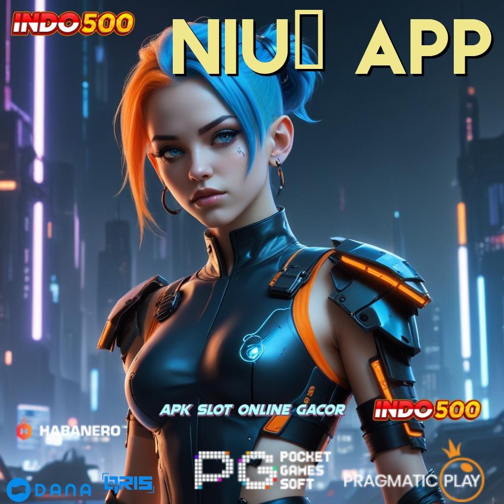 Niu6 App